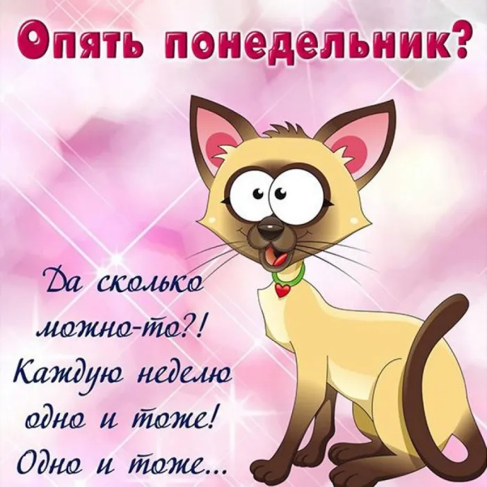 Картинки "Доброе утро понедельника". Картинки Доброго утра понедельника прикольные
