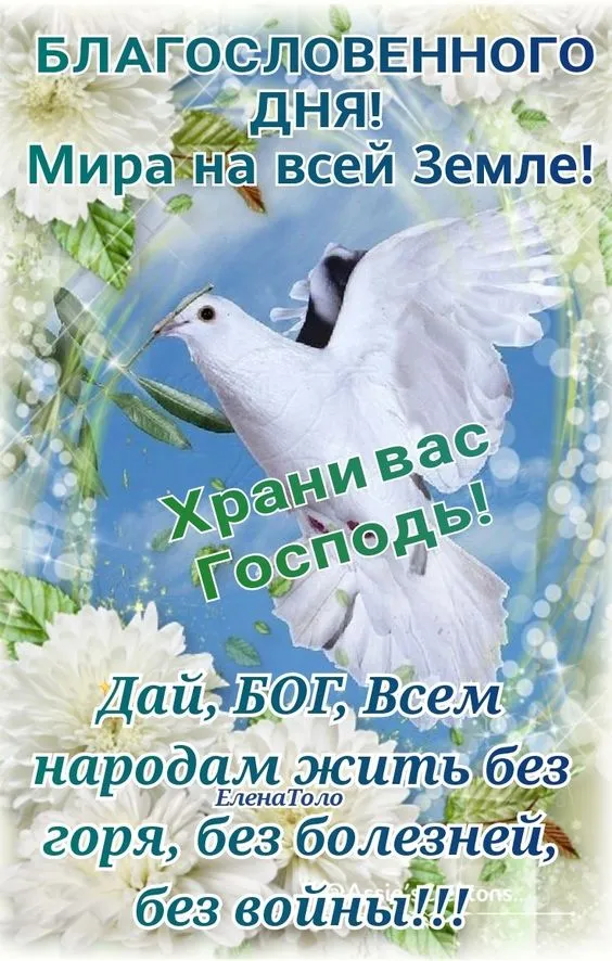 Картинки "Мира, добра и счастья". Картинки с пожеланием Мира и Добра