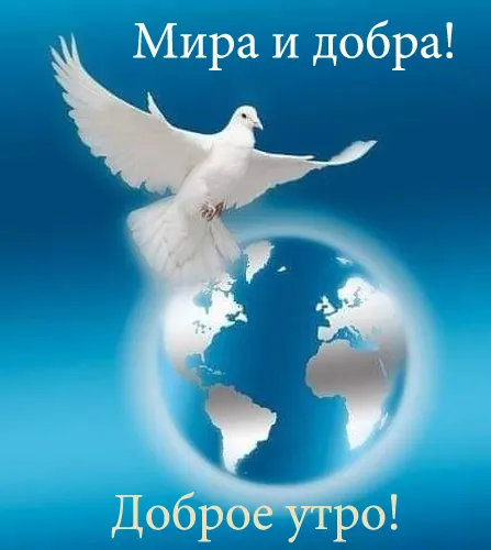 Картинки "Мира, добра и счастья". Картинки с пожеланием Мира и Добра