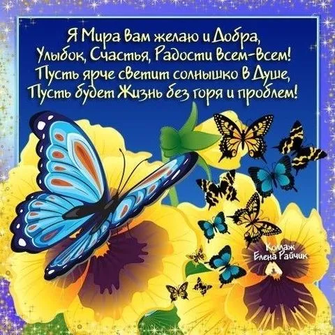 Картинки "Мира, добра и счастья". Картинки с пожеланием Мира и Добра