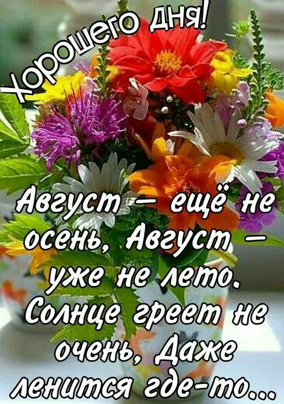 Картинки "Доброе утро августа". Доброе утро августа - картинки красивые