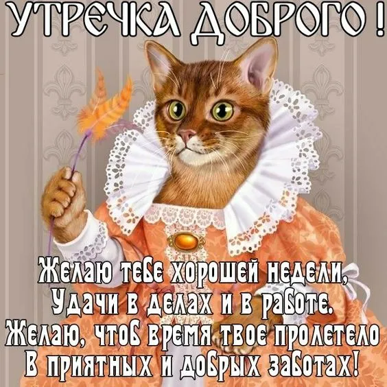 Картинки "Доброе утро понедельника". Картинки Доброго утра понедельника прикольные