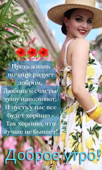 Летние картинки "Доброе утро" (70+ фото). Летние картинки с пожеланием Доброго утра