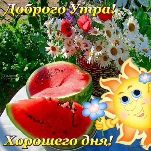 Картинки "Доброе утро августа". Картинки Доброго утра августа с пожеланиями