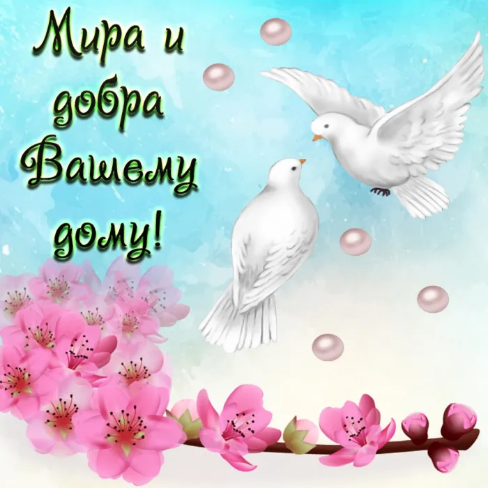 Картинки "Мира, добра и счастья". Картинки Мира, Добра и Счастья 