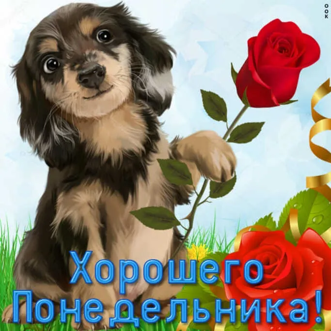 Картинки "Доброе утро понедельника". Картинки Доброго утра понедельника прикольные