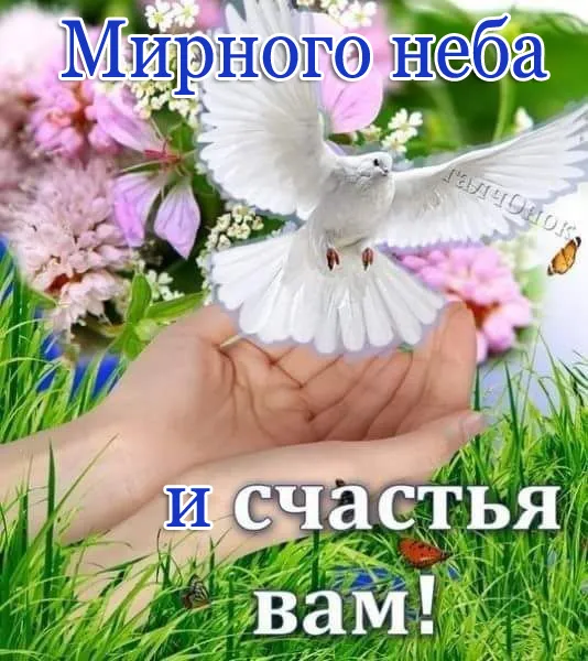 Картинки "Мира, добра и счастья". Картинки Мира, Добра и Счастья 