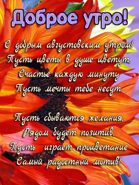 Картинки "Доброе утро августа". Картинки Доброго утра августа с пожеланиями
