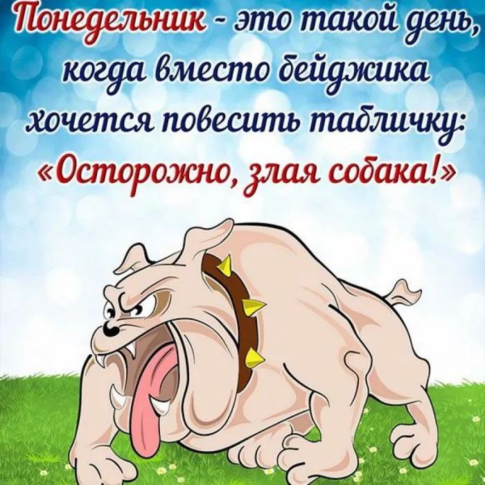 Картинки "Доброе утро понедельника". Картинки Доброго утра понедельника прикольные