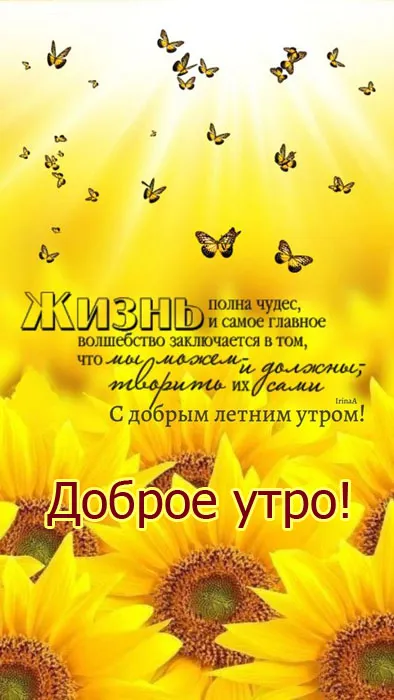 Летние картинки "Доброе утро" (70+ фото). Летние картинки с пожеланиями доброго утра