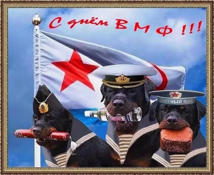 Прикольные картинки и открытки на День ВМФ (65 штук). Прикольные картинки и открытки с Днем ВМФ 