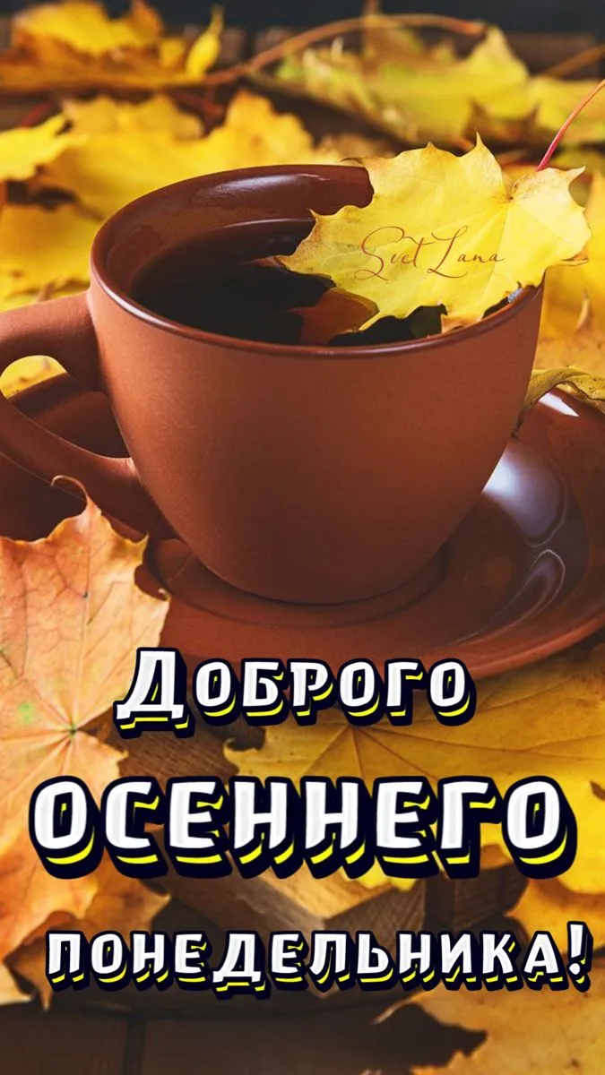 Картинки "Доброе утро понедельника". Красивые картинки Доброго утра понедельника