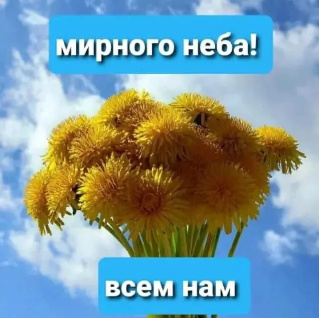 Картинки "Мира, добра и счастья". Картинки Мира, Добра и Счастья 