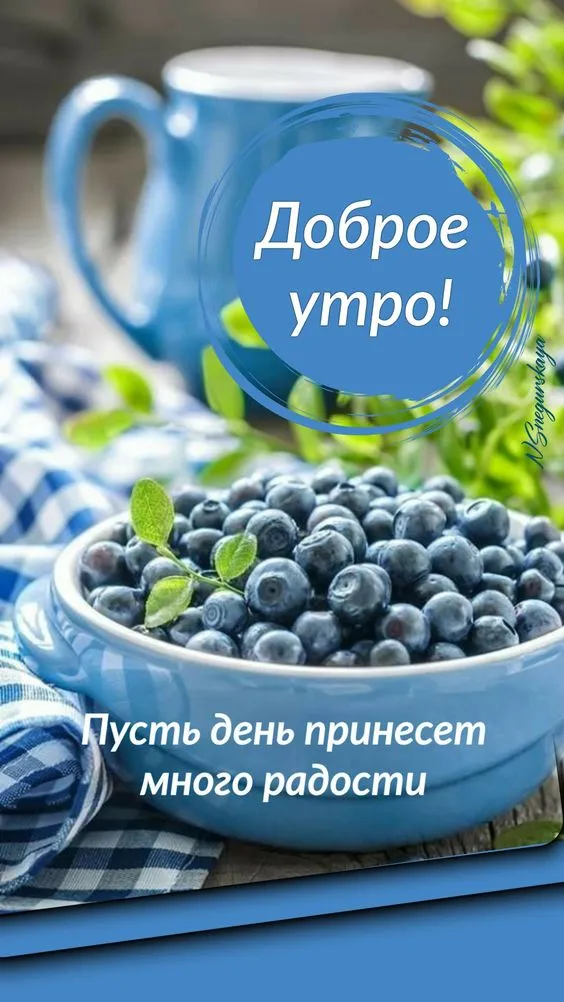 Летние картинки "Доброе утро" (70+ фото). Летние картинки с пожеланиями доброго утра