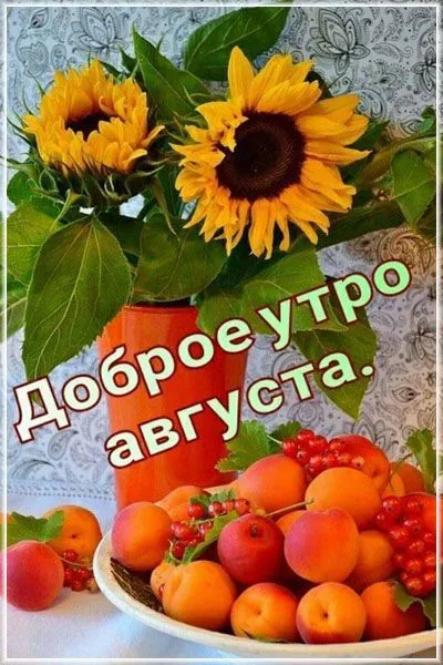 Картинки "Доброе утро августа". Доброе утро августа - картинки красивые