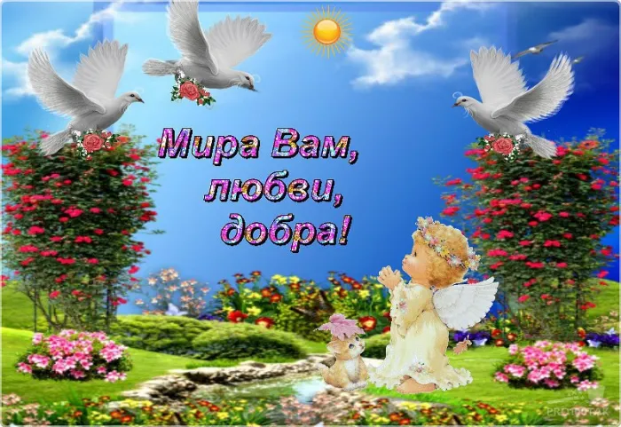 Картинки "Мира, добра и счастья". Картинки Мира, Добра и Счастья 