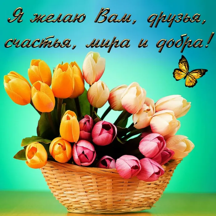 Картинки "Мира, добра и счастья". Картинки Мира, Добра и Счастья 