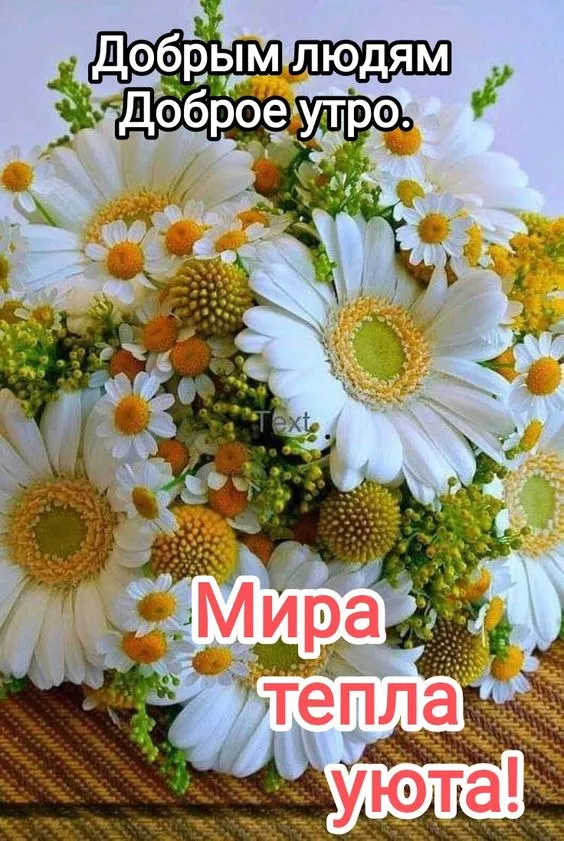 Картинки "Мира, добра и счастья". Картинки с пожеланием Мира и Добра