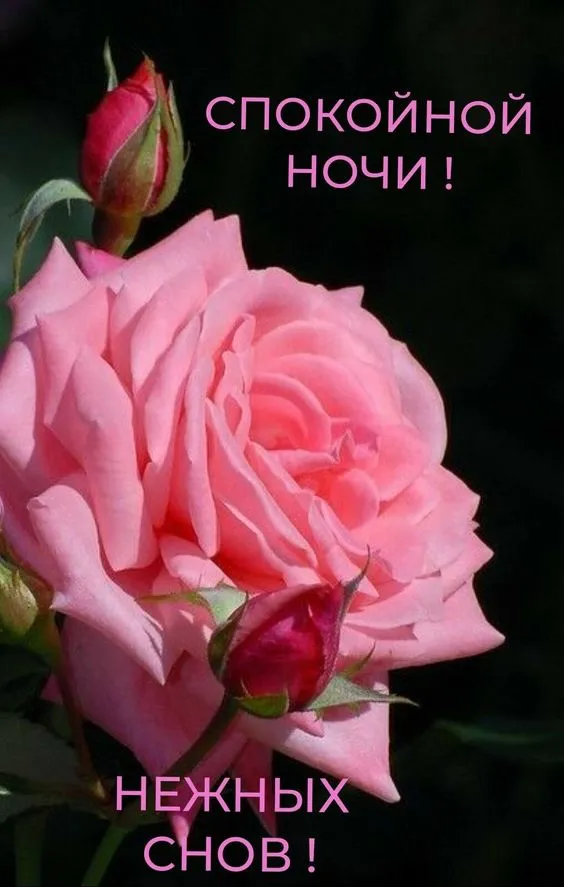 Картинки Спокойной ночи (120 открыток). Картинки "Спокойной ночи" необычные