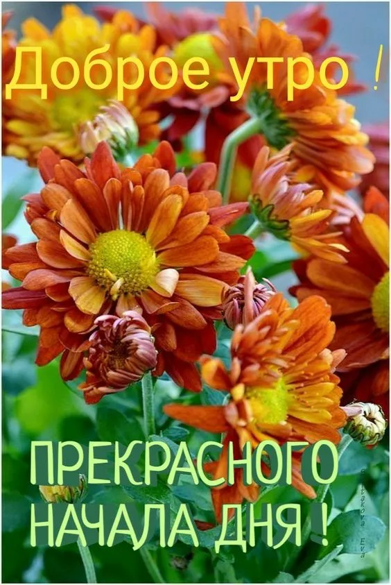 Картинки "Доброе утро августа". Доброе утро августа - картинки красивые
