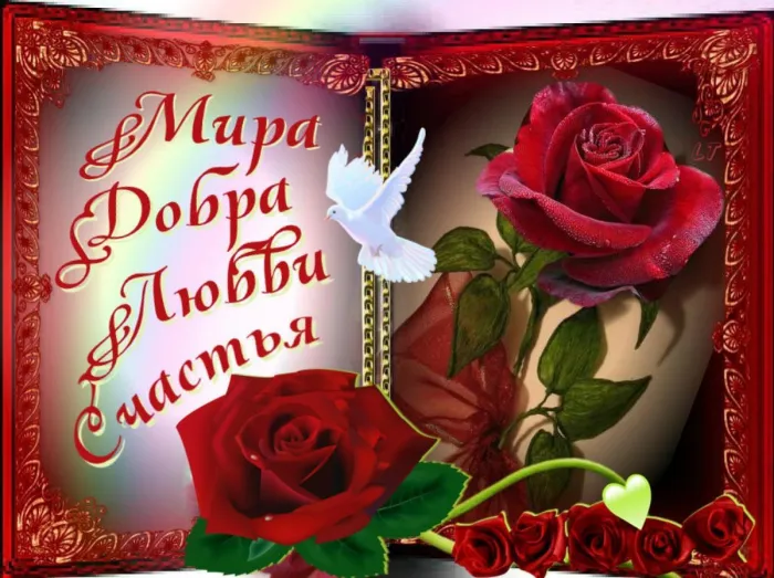 Картинки "Мира, добра и счастья". Картинки Мира, Добра и Счастья 