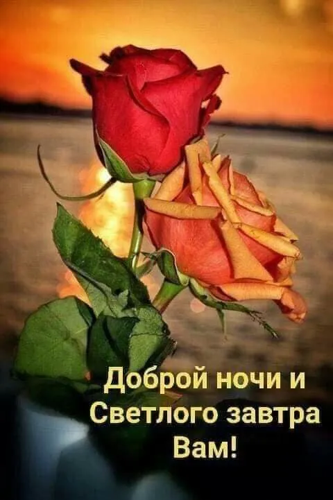 Картинки Спокойной ночи (120 открыток). Красивые картинки Спокойной ночи