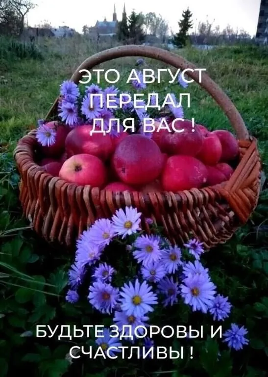 Картинки "Доброе утро августа". Доброе утро августа - картинки красивые