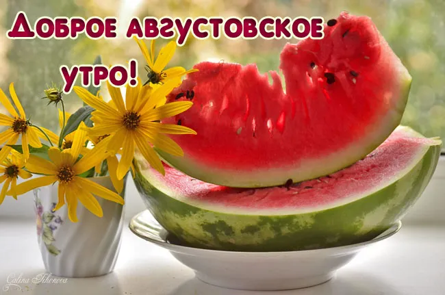 Картинки "Доброе утро августа". Картинки Доброго утра августа с пожеланиями