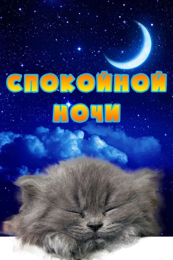 Картинки Спокойной ночи (120 открыток). Прикольные картинки "Спокойно ночи"