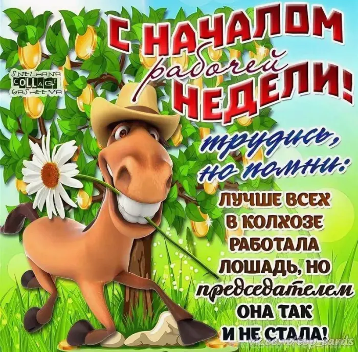 Картинки "Доброе утро понедельника". Картинки Доброго утра понедельника прикольные