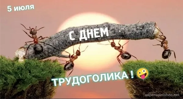 Картинки с Днем трудоголиков (30 открыток). Красивые и прикольные картинки с надписями