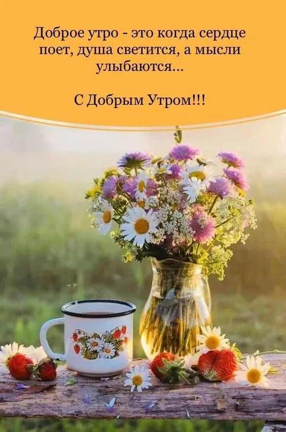Летние картинки "Доброе утро" (70+ фото). Летние картинки с пожеланием Доброго утра