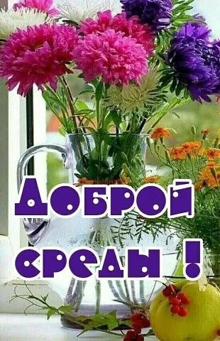 Картинки с Добрым утром среды. Красивые картинки "Доброе утро среды"