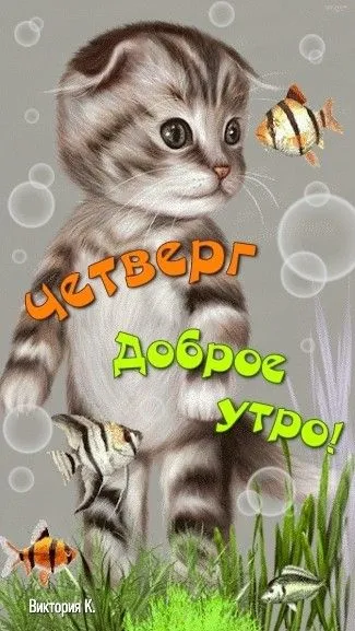 Картинки Доброе утро четверга. Прикольные картинки с Добрым утром четверга