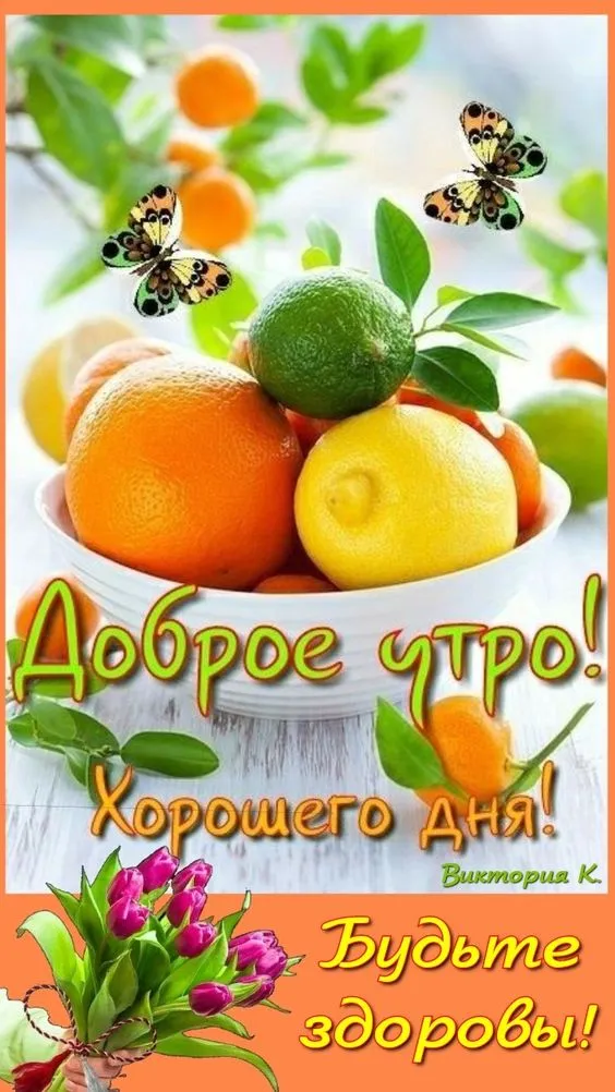 Картинки "Доброе утро" позитивные. Доброе утро - картинки позитивные и прикольные