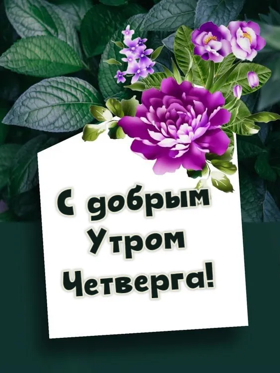 Картинки Доброе утро четверга. Доброе утро четверга - картинки красивые и необычные