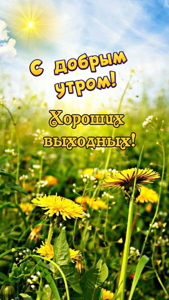 80+ картинок с Добрым утром субботы. Доброе утро субботы и хороших выходных