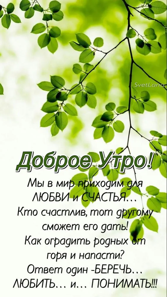 Картинки "Доброе утро" позитивные. С Добрым утром - позитивные картинки
