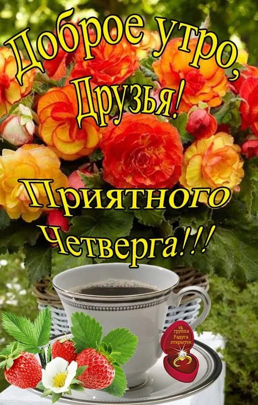 Картинки Доброе утро четверга. Картинки Доброе утро четверга красивые 