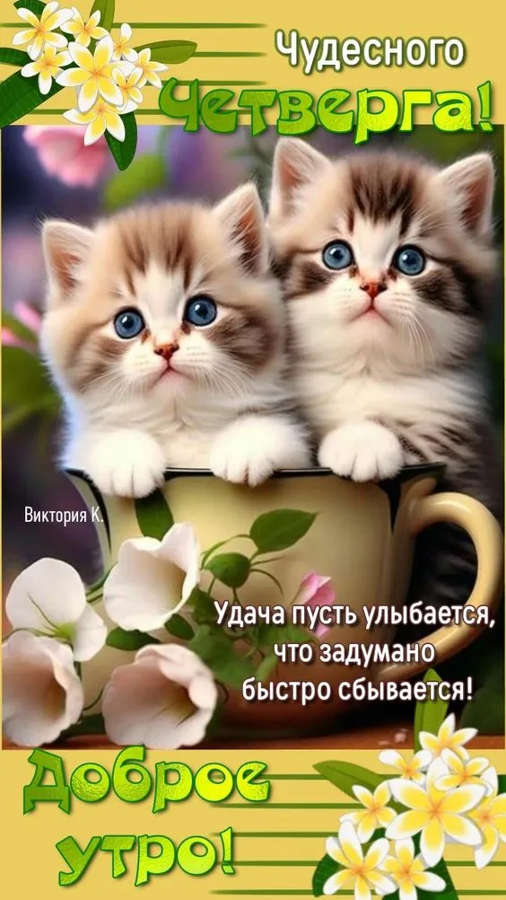 Картинки Доброе утро четверга. Картинки Доброе утро четверга красивые 