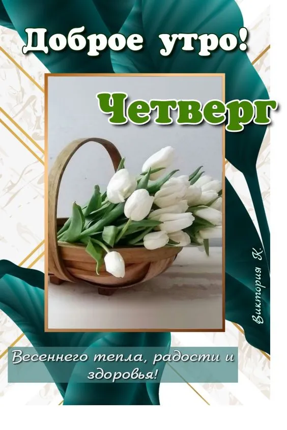 Картинки Доброе утро четверга. Картинки Доброе утро четверга красивые 
