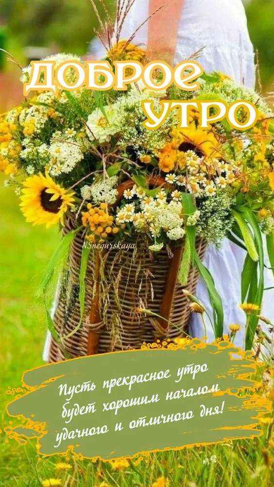 Летние картинки "Доброе утро" (70+ фото). Летние картинки с пожеланием Доброго утра