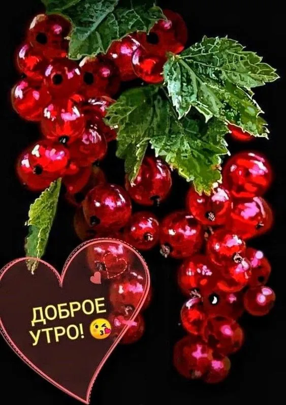 Картинки "Доброе утро августа". Красивые картинки с Добрым Утром августа