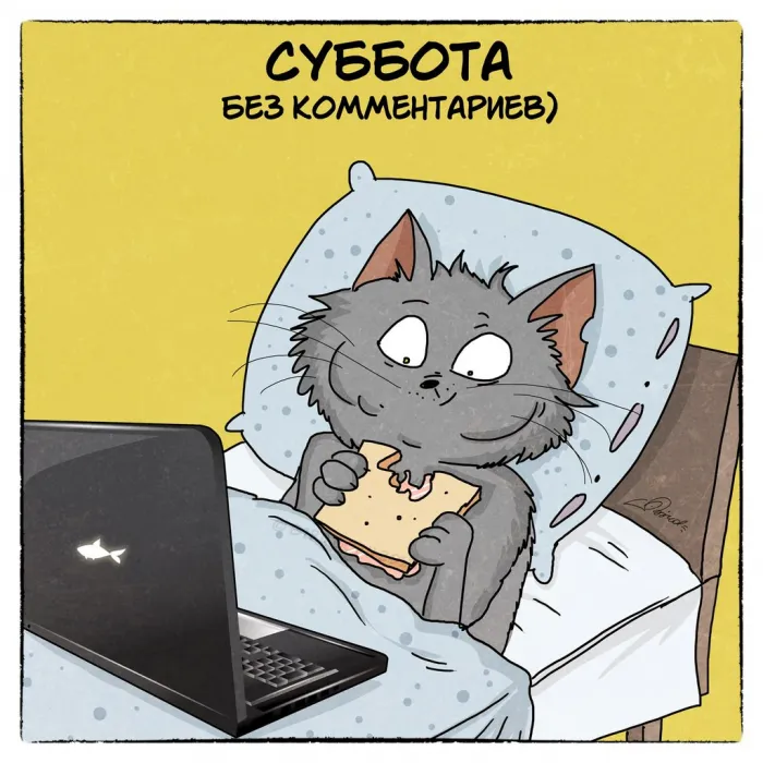 80+ картинок с Добрым утром субботы. Доброе утро субботы - картинки прикольные и позитивные