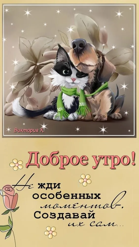 Картинки "Доброе утро" позитивные. Позитивные картинки "Доброе утро" с пожеланиями 