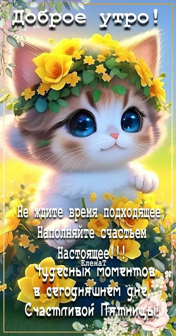 Картинки "Доброе утро" позитивные. Доброе утро - картинки позитивные и прикольные