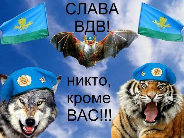 Прикольные картинки с Днем ВДВ. Картинки с Днем ВДВ прикольные