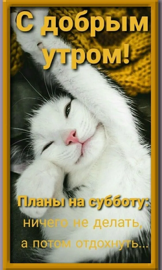 80+ картинок с Добрым утром субботы. Доброе утро субботы - картинки прикольные и позитивные