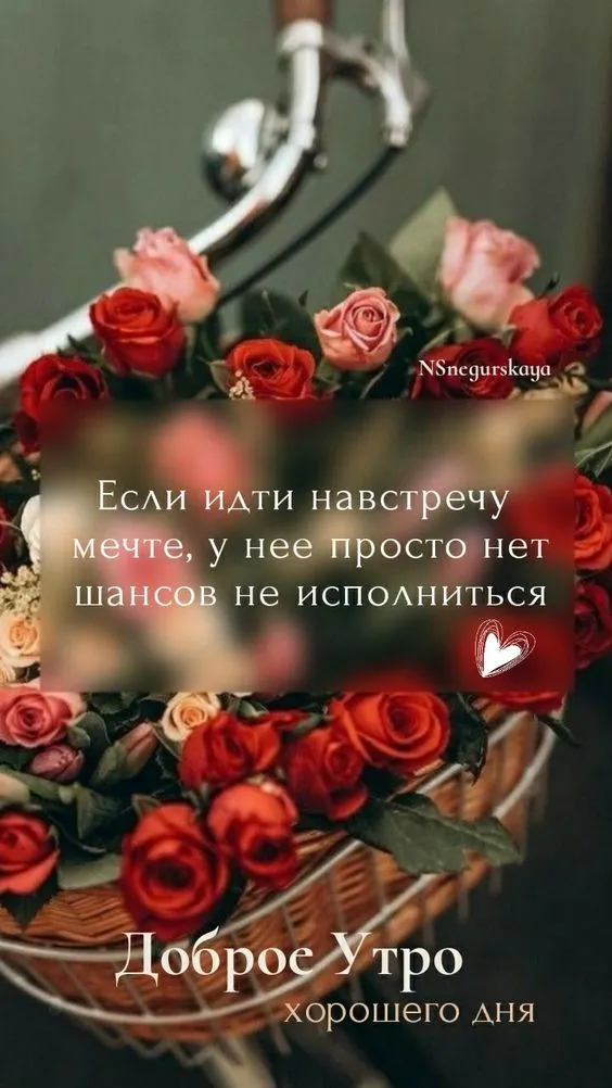 Картинки "Доброе утро" позитивные. С Добрым утром - позитивные картинки
