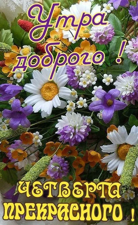Картинки Доброе утро четверга. Картинки Доброе утро четверга красивые 